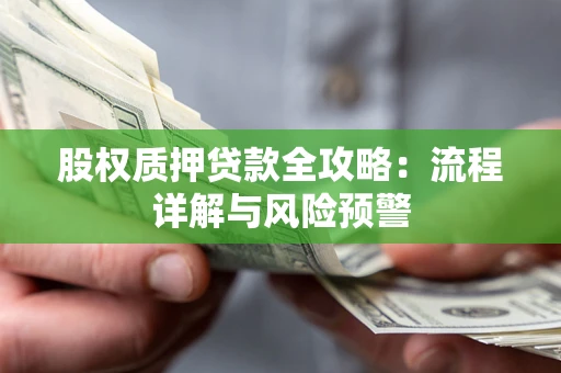 武汉股权质押贷款全攻略：流程详解与风险预警