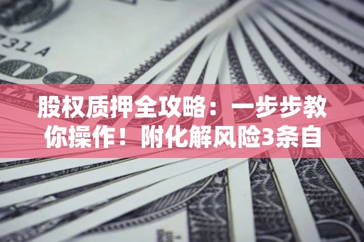 武汉股权质押全攻略：一步步教你操作！附化解风险3条自救法则