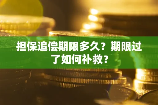 武汉担保追偿期限多久？期限过了如何补救？