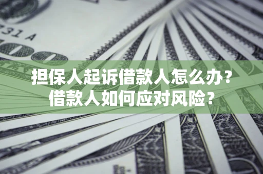 武汉担保人起诉借款人怎么办？借款人如何应对风险？