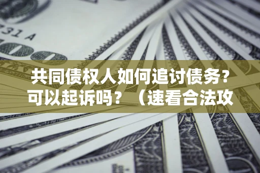 武汉共同债权人如何追讨债务？可以起诉吗？（速看合法攻略）