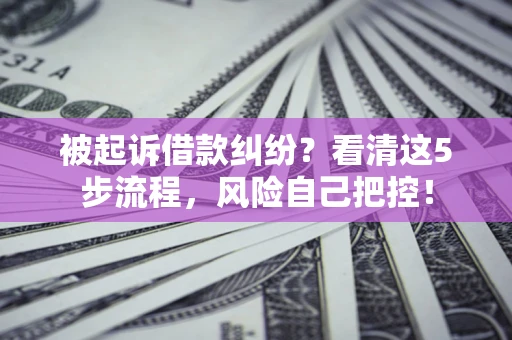 武汉被起诉借款纠纷？看清这5步流程，风险自己把控！