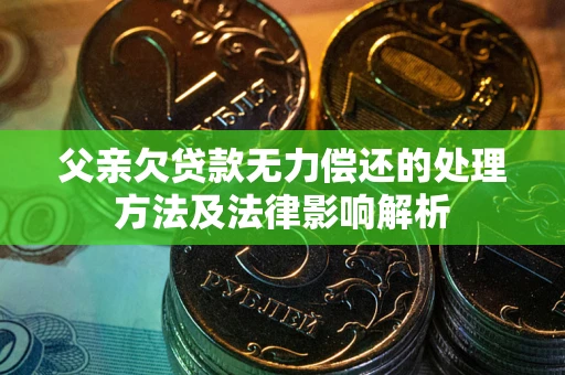 武汉父亲欠贷款无力偿还的处理方法及法律影响解析