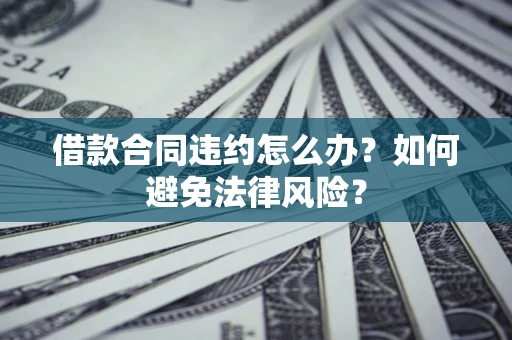 武汉借款合同违约怎么办？如何避免法律风险？